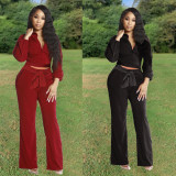 Women's fashion casual solid color wide leg pants casual suit autumn and winter models Y8100