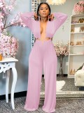 New women's clothing solid color autumn and winter loose jumpsuit z9145