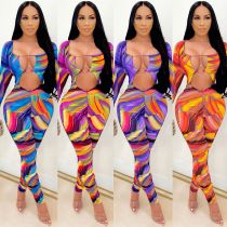 Fashion new product sexy deep tight V milk silk printing long-sleeved pile trousers jumpsuit women's clothing C5080