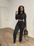 Women's solid color casual pleated long-sleeved T-shirt wide-leg pants suit TS1149