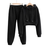 Autumn and winter models plus velvet pocket hooded short sweater women + solid color high waist loose leggings harem trousers two-piece suit