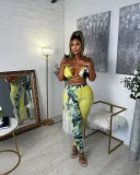 Casual fashion sexy positioning printing spring and summer bikini swimsuit 5 color suit