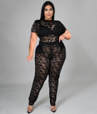 Large size spring and summer short-sleeved see-through nightclub lace two-piece suit