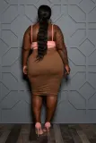 women's plus size colorblock dress