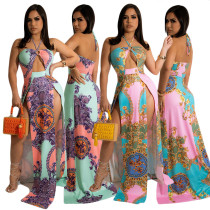 Digital Printing Fashion Sexy Women Dresses