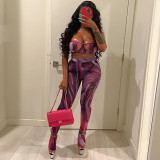 Sexy Cutout Mesh Camisole High Waist Sheer Print Pants Set