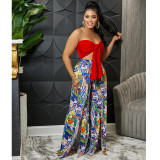 Two-piece set of fashionable strapless open-back printed slit trousers