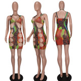 Mesh Print Halter Hoop Cutout Dress
