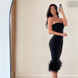 Feather Skinny Sexy Tube Top Dress