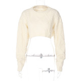 Fashion Round Neck Long Sleeve Cropped Navel Loose Sweater Cropped Top