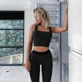 Fashion Sleeveless Crop Top Slim Fit Sports Yoga Set  S155136A