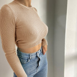 Backless Tie Long Sleeve Threaded Top Casual Women's Temperament Commuter Cropped Navel T-Shirt