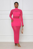 Sexy Solid Color Mesh Panel Long Sleeve Dress