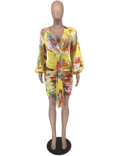 V-Neck Placement Print Crinkled Dress