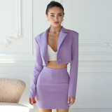 Fashion casual short suit slim skirt suit