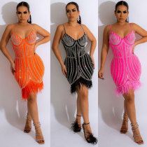 Scalded Feather Dress