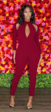 Solid color long sleeve invisible zipper sexy hollow hip jumpsuit