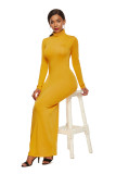 Fashion solid color long skirt long sleeve stretch fitting high neck dress