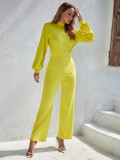 Women's sexy wide leg pants Summer women's solid color high collar backless long sleeve casual one-piece pants