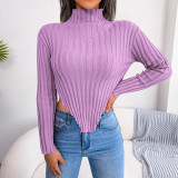 Sexy semi high neck long sleeve asymmetric knitting base sweater