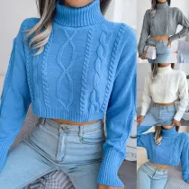 Fashion fried dough twist long sleeve high neck short pullover sweater