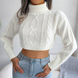 Fashion fried dough twist long sleeve high neck short pullover sweater