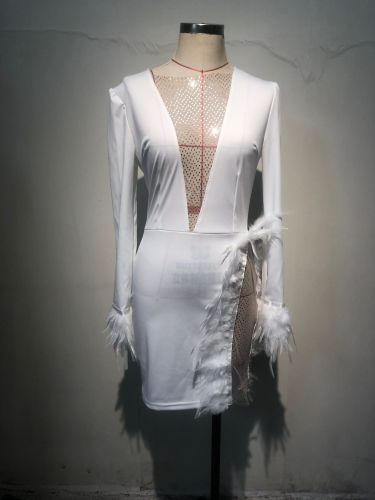 Mesh Panel Feather Decorative Slim Dress