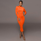 Fashion temperament solid color slim fitting high collar long sleeve dress