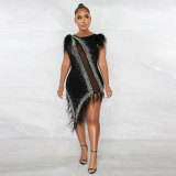Women's Perspective Slim Fit Scalded Pearl Feather Dress