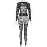 Fashion sexy hollow solid color high elastic tight long suit
