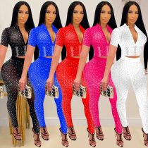 Fashion women's pure color mesh ironing short-sleeved trousers two-piece set