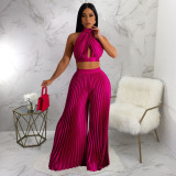 Hanging neck and backless imitation silk pleated wide leg pants two-piece set