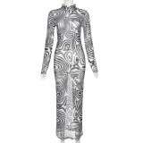 Fashion sexy mesh zebra print long-sleeved slim dress