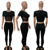 Women's elastic round neck short sleeved top and tight pants set