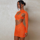 Fashion Mesh Sexy Hollow Out Perspective Round Neck Slim Fit Dress