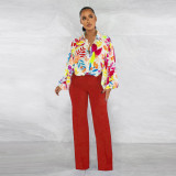 Women's lantern sleeves, chiffon printed sun protection top, solid color pants set