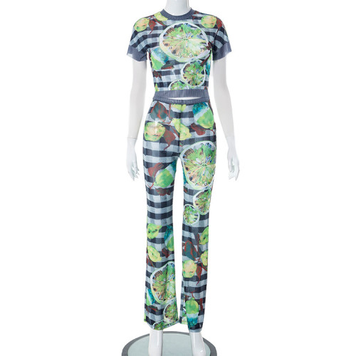Mesh printed perspective short sleeved top and pants casual set