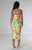 Women's dress Sleeveless French floral dress High grade printed skirt