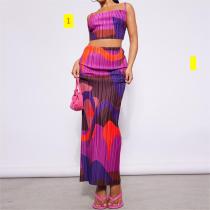 Printed Pleated Two Piece Slim Fit Long Dress Set for Women