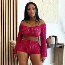 Flower shaped perforated long sleeved top and shorts casual set