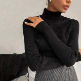High Neck Pullover Long Sleeve Slim Fit Basic Wool Top