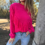 Loose fitting long sleeved fringed knit top