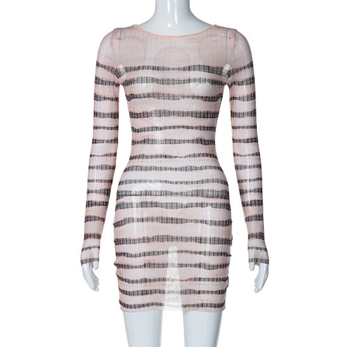 Perspective Long Sleeve Stripe Printed Slim Fit Dress