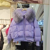 Short and thick oversized feather collar white duck down bread down jacket