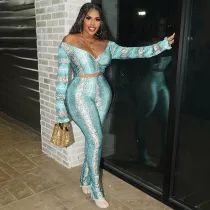 Snake print cross V-neck long sleeved top and pants casual set