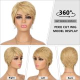 Qi Liu Hai Short Hair Wig