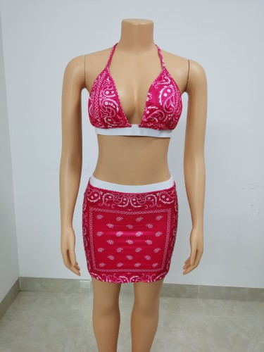 Two piece swimsuit short skirt set