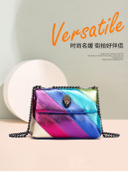 Rainbow Eagle Head Spliced Chain Single Shoulder Crossbody Bag