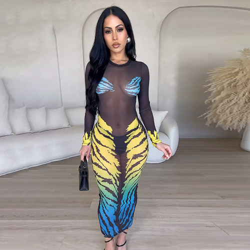 Mesh Leopard Pattern Gradient Print Perspective Wrapped Hip Dress