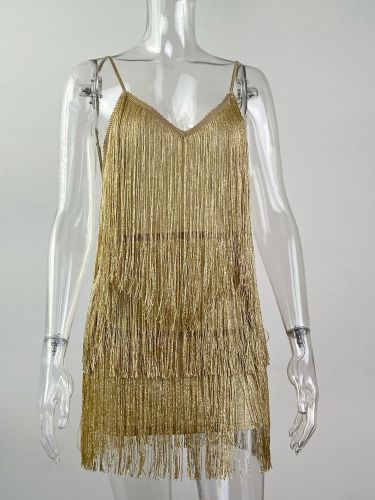 Sequin glitter fringe dress